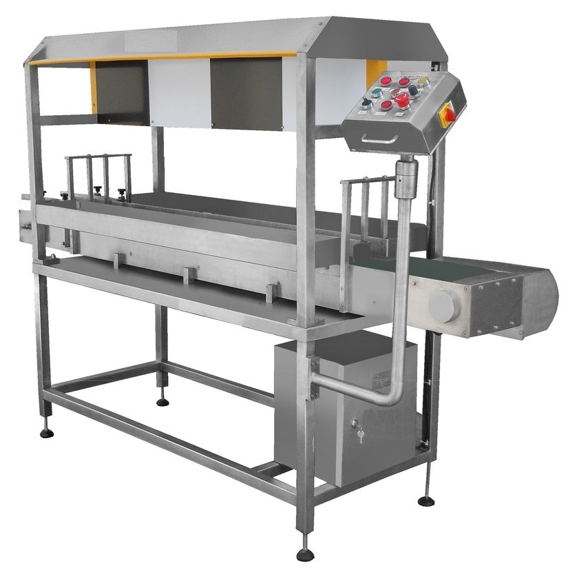 Visual Inspection Belt Conveyor